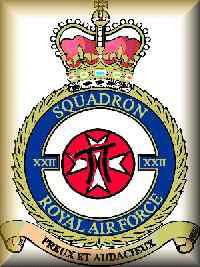 22 nd squadron emblem